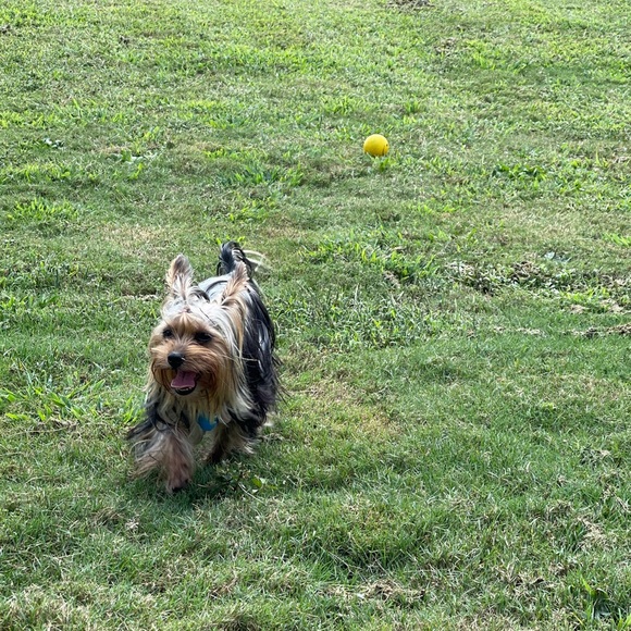 heyyy i'm frankie ๐๐ - Picture 7 of 8